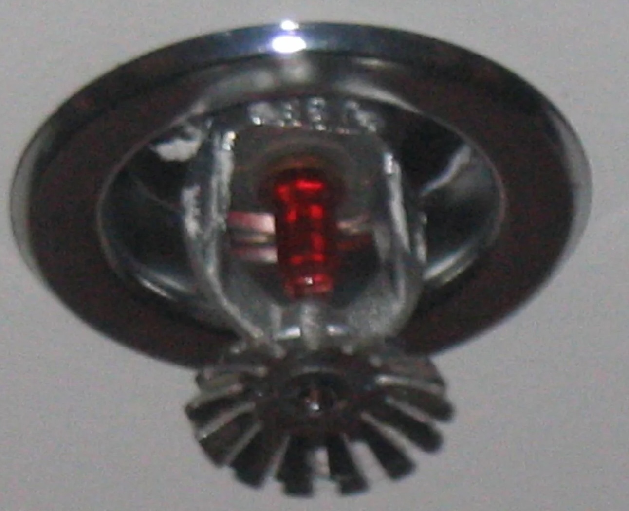 Fire Sprinkler Discharge Water Removal in Geneva, GA