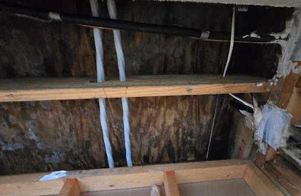Attic Water Extraction in Molena, GA