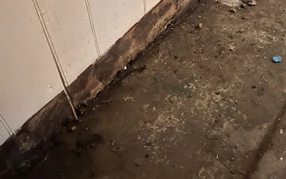 Suicide Cleanup in Warner Robins, GA