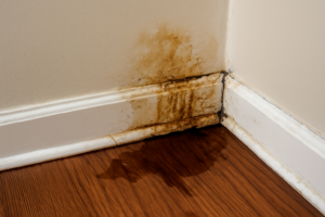 Water Leak Detection